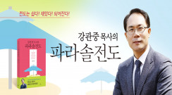 파라솔전도